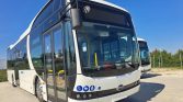 White BYD city bus in a three-quarter front view with accessibility icons on the nose, parked in a sunny lot.